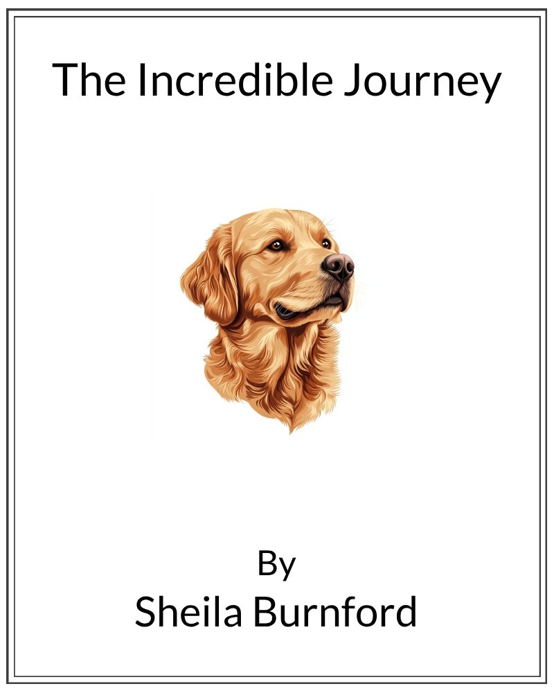 Cover image for Incredible Journey, The
